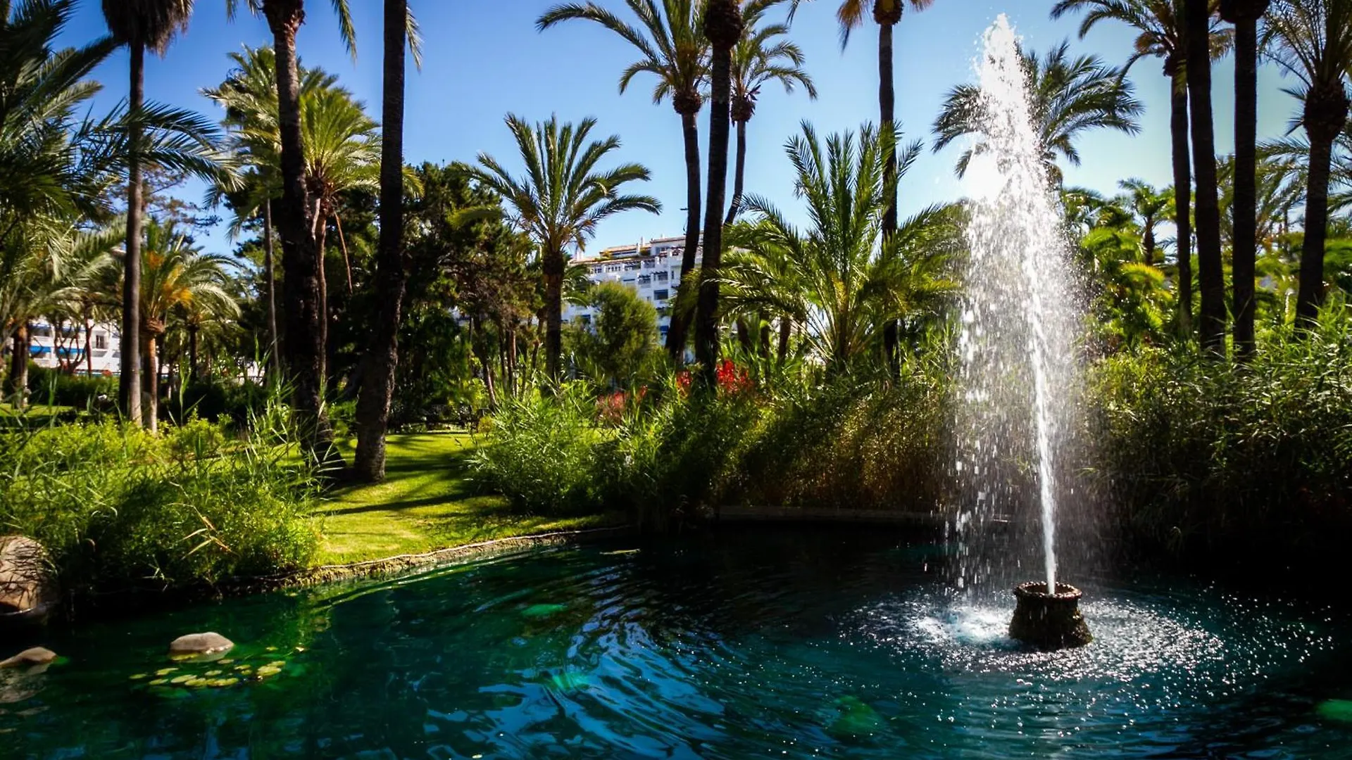 Marbella Banus Suites - Lily Playas Del Duque Banus Beach Apartment
